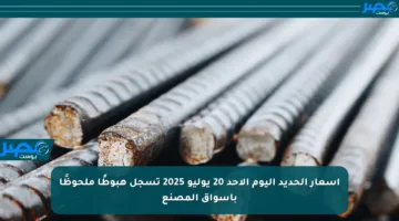 أسعار الحديد اليوم الأحد 20 يوليو 2025 تسجل هبوطًا ملحوظًا بأسواق المصنع